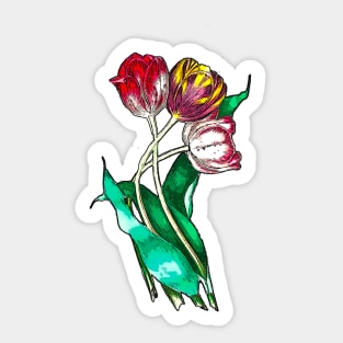 Tulips Sticker